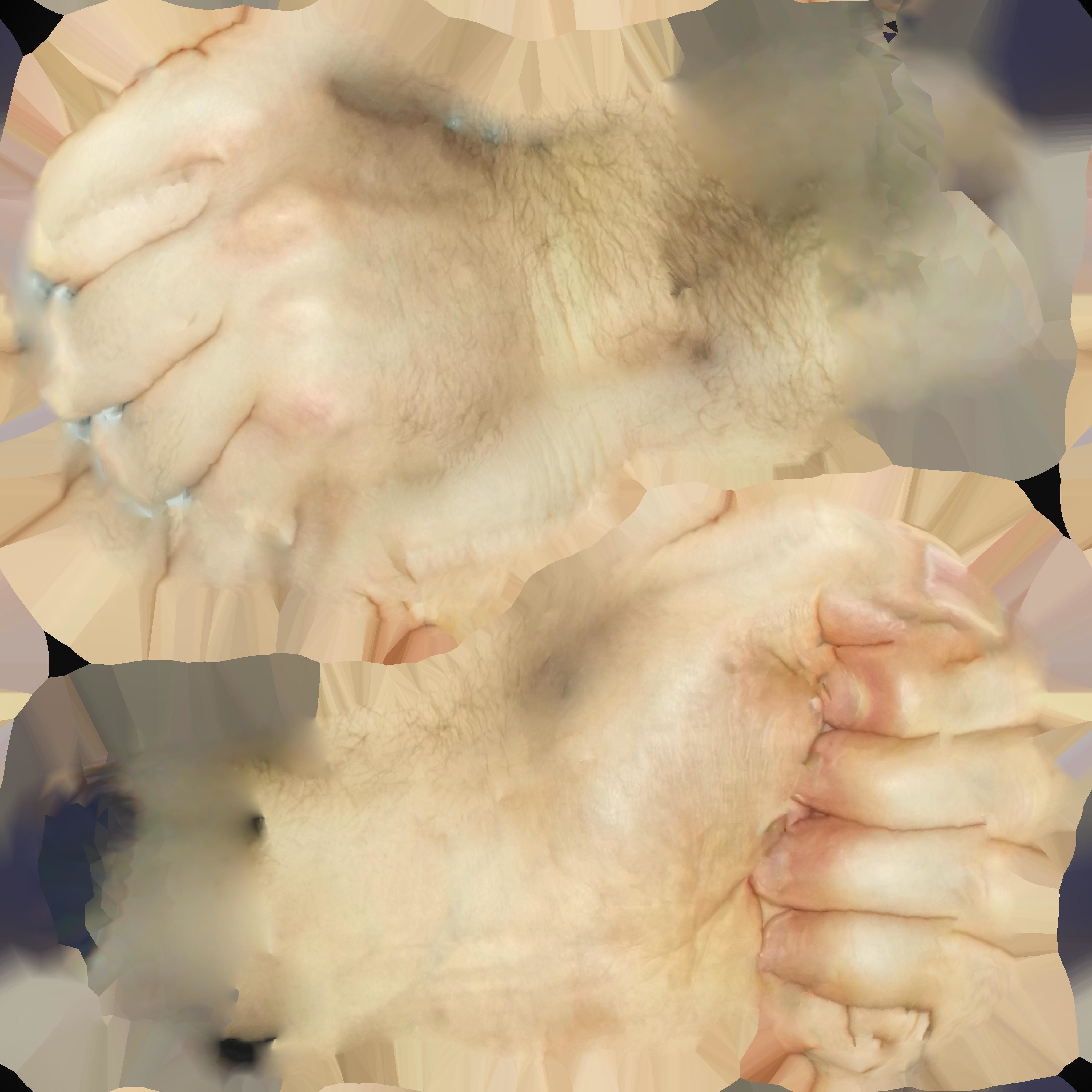 PBR Pickled Human Hand 3D model_1