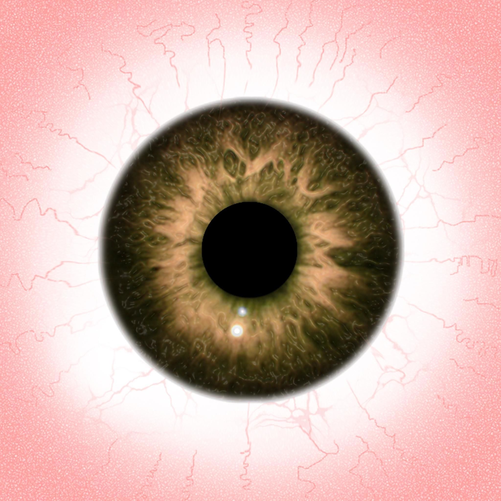 apatosaurs group of dinosaurs Free 3D model_1