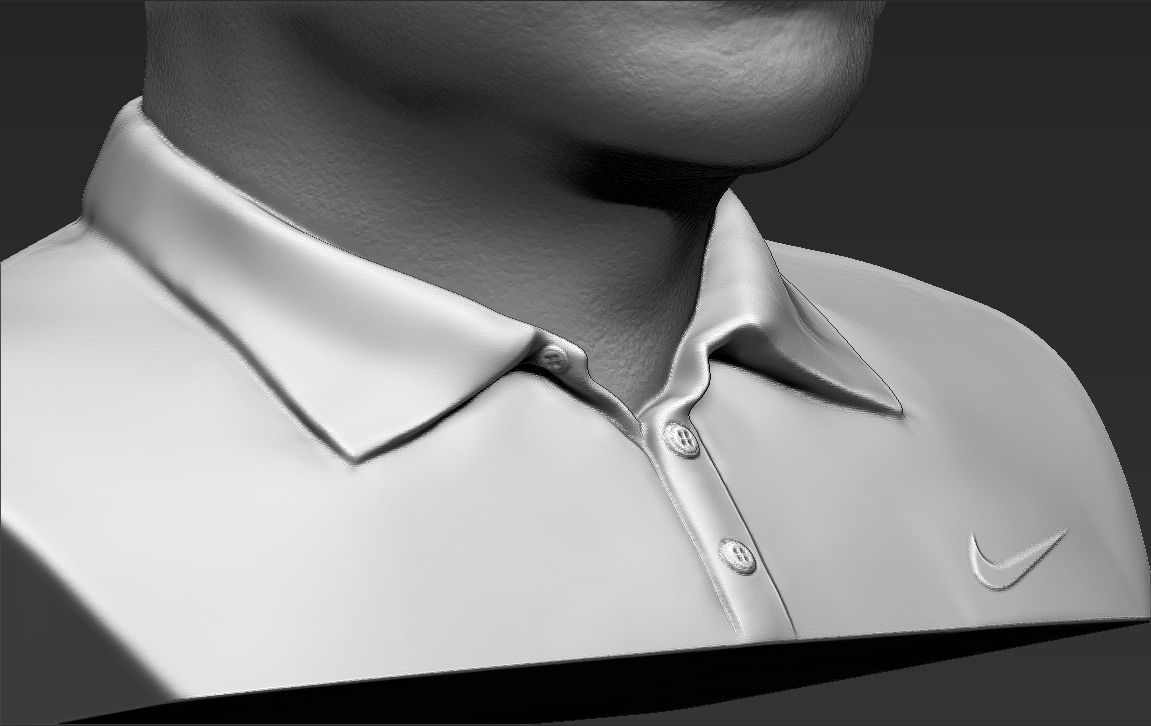 Tiger Woods bust 3D printing ready stl obj formats 3D print model_29