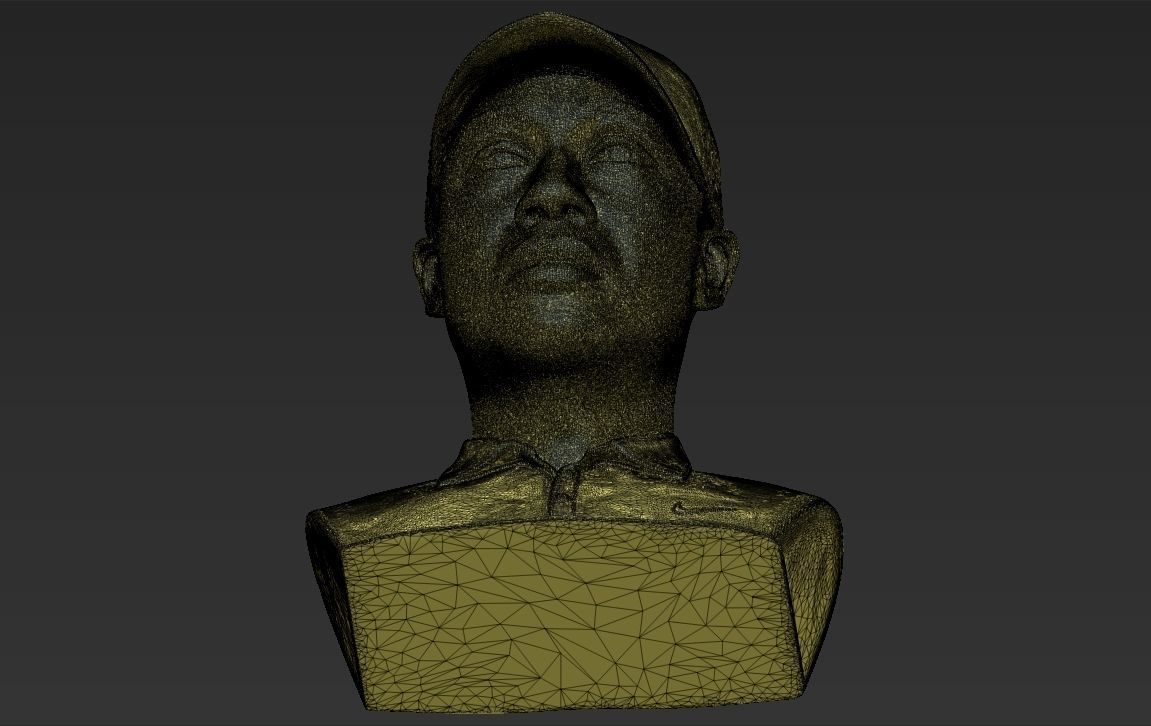 Tiger Woods bust 3D printing ready stl obj formats 3D print model_34