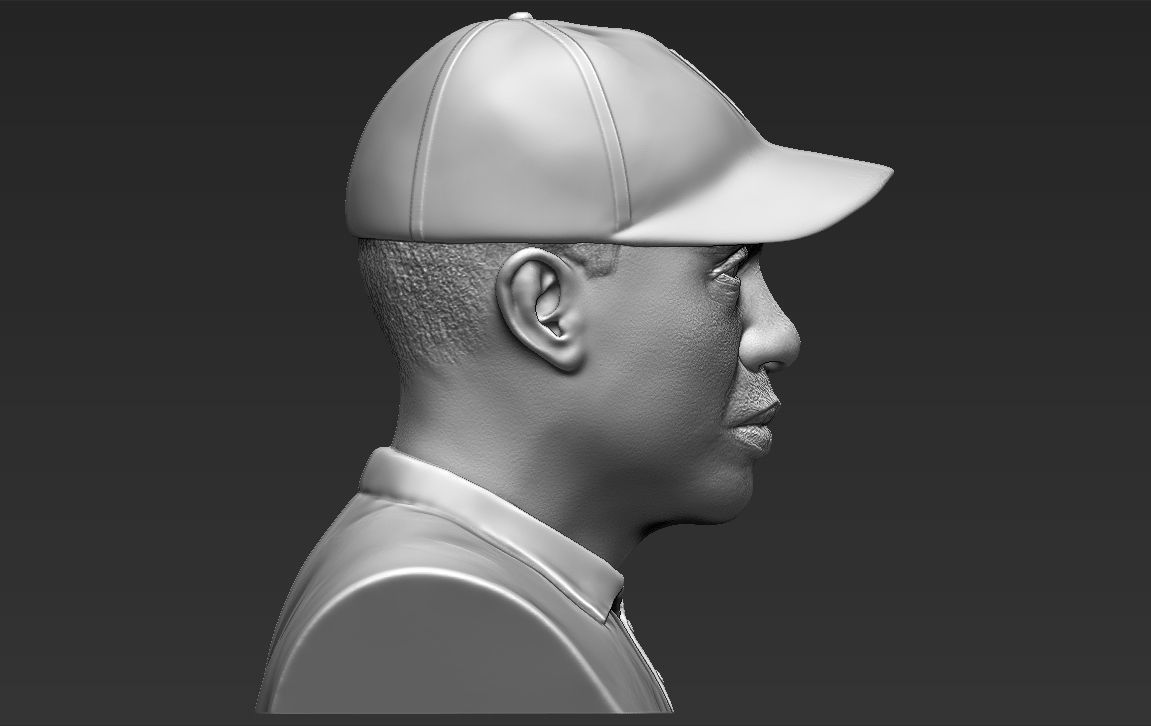 Tiger Woods bust ready for full color 3D printing 3D print model_35