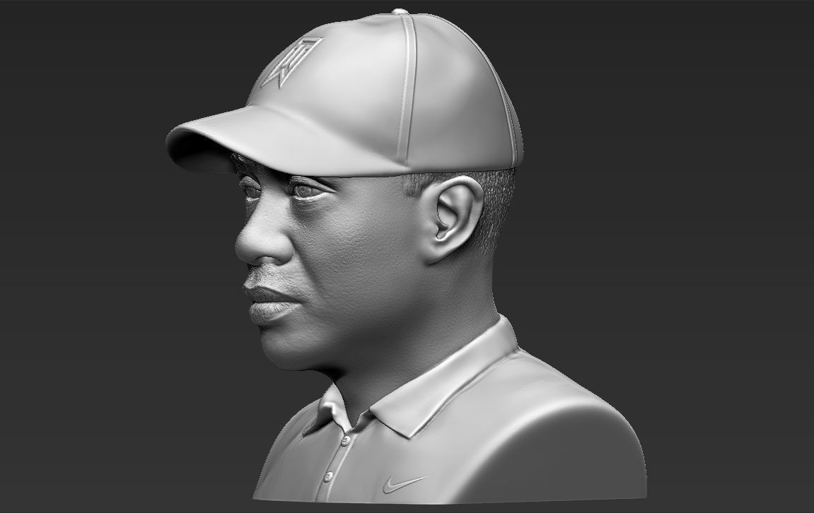 Tiger Woods bust ready for full color 3D printing 3D print model_28