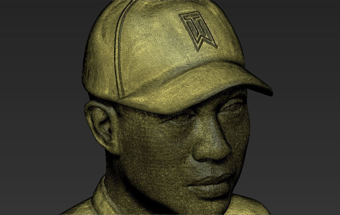 Tiger Woods bust ready for full color 3D printing 3D print model_56