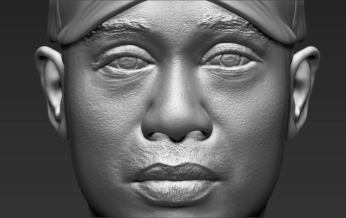 Tiger Woods bust ready for full color 3D printing 3D print model_43