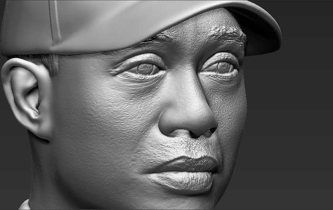 Tiger Woods bust ready for full color 3D printing 3D print model_44
