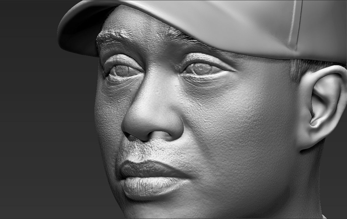Tiger Woods bust ready for full color 3D printing 3D print model_45