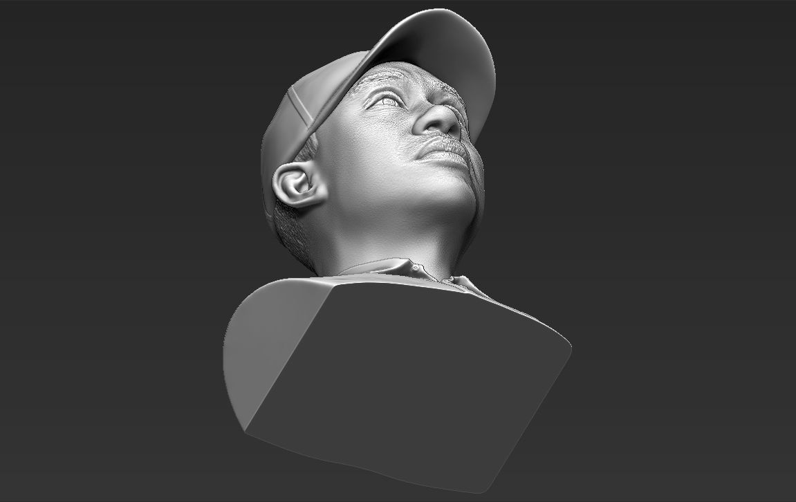 Tiger Woods bust ready for full color 3D printing 3D print model_51