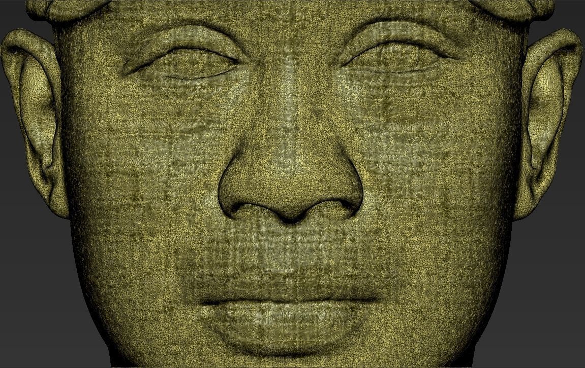 Tiger Woods bust ready for full color 3D printing 3D print model_55