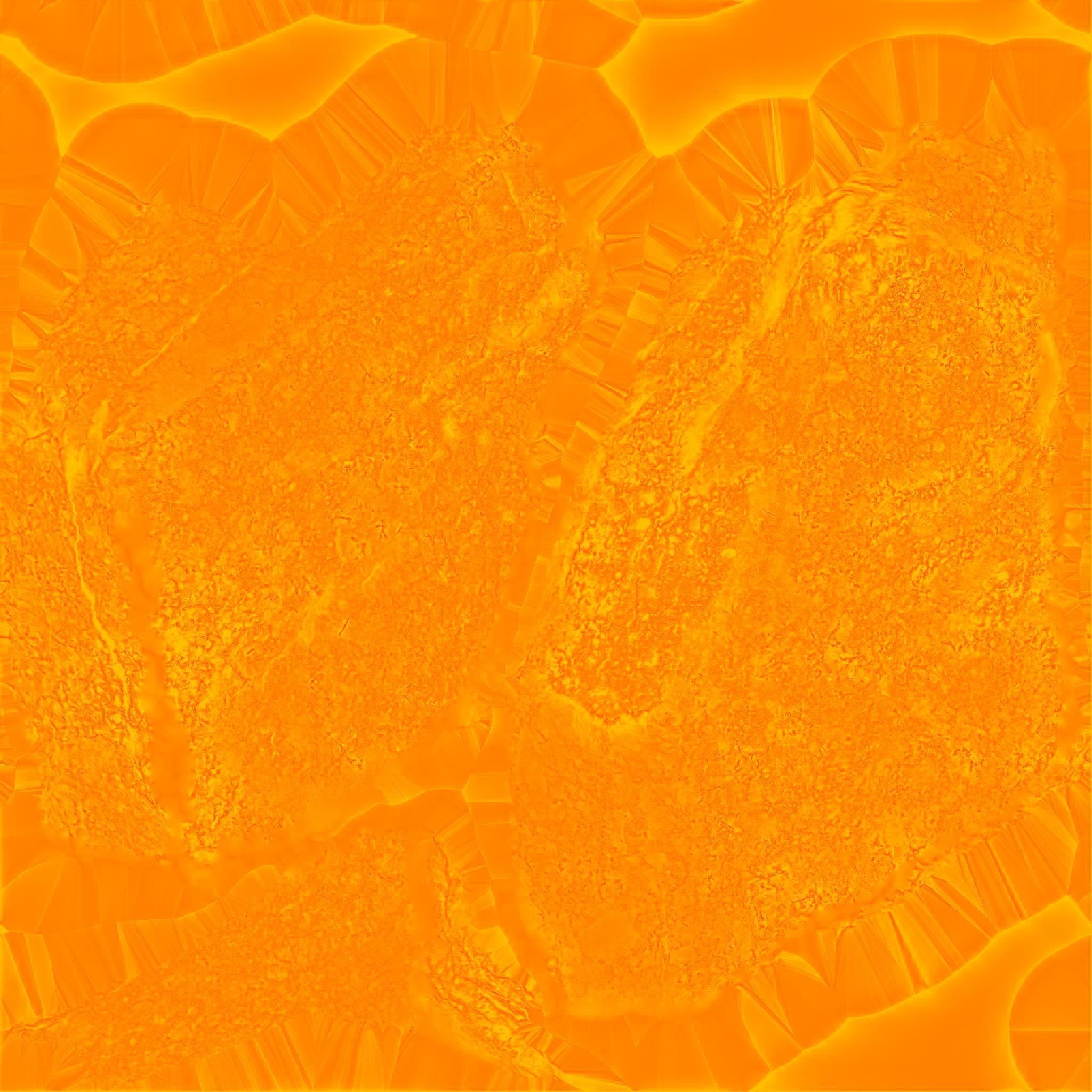 PBR Rock 3 Photorealistic 3D model_3