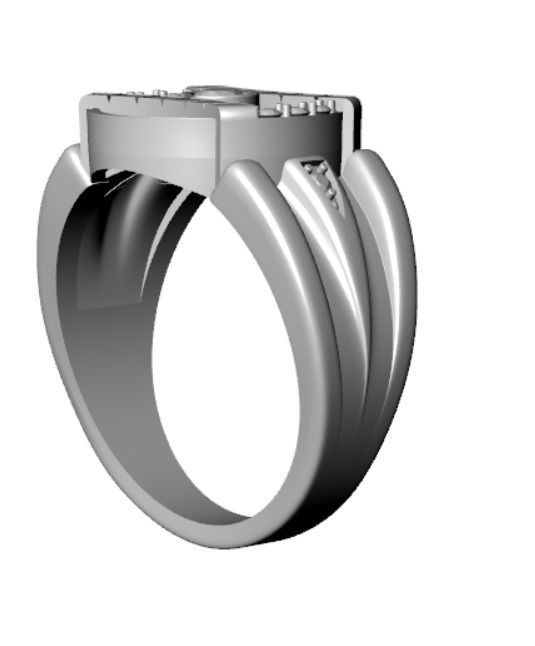 Ring akr 17 3D print model_21