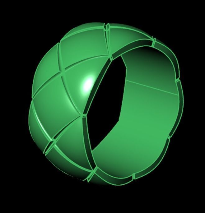 Ring  akr 20 3D print model_10