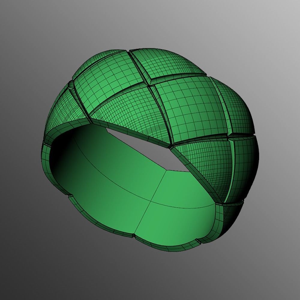 Ring  akr 20 3D print model_2