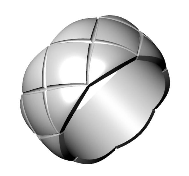 Ring  akr 20 3D print model_18