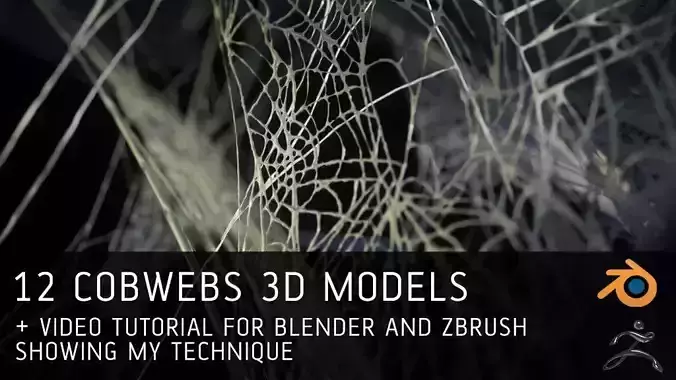 12 Cobwebs 3D models with tutorial for Blender and Zbrush 3D model