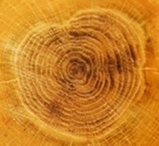 stool wooden with metal legs 3D model_3