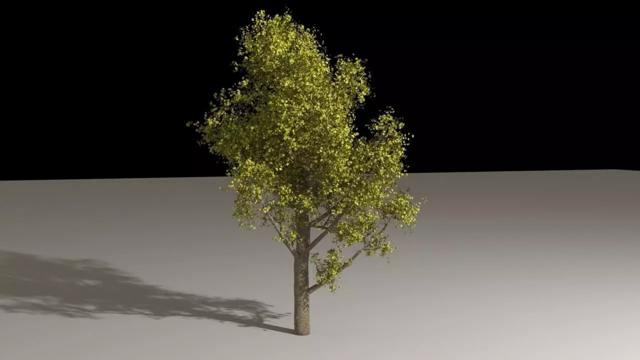 3D model Houdini Tree Generator Asset VR / AR / low-poly rigged animated |  CGTrader