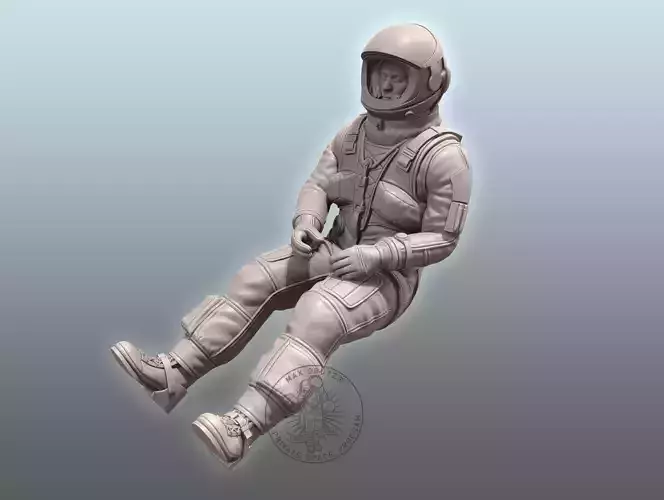 SR-71 Blackbird Pilot 3D print model