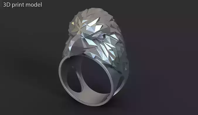Eagle vol3 polygonal ring jewelry
