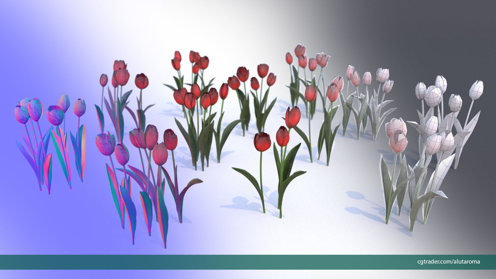 Tulips very LOW POLY detailed textures 63 variations Low-poly 3D model_1