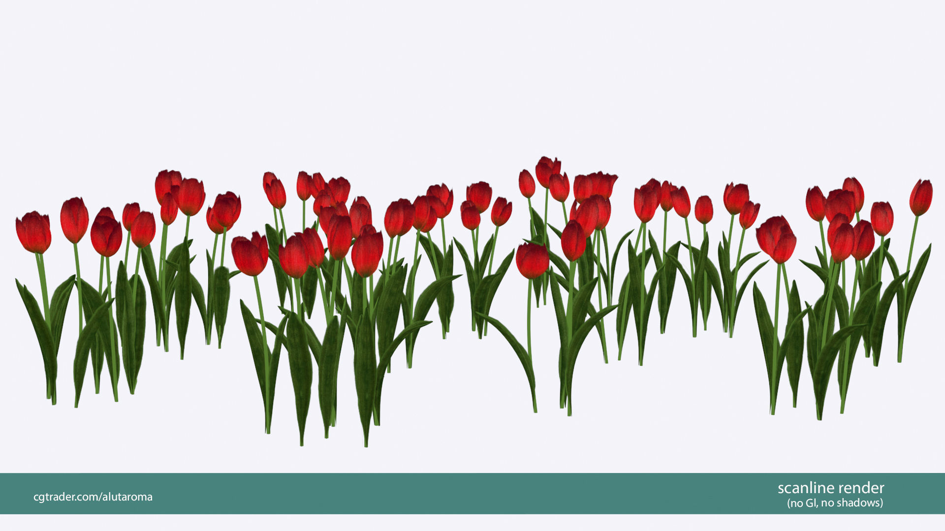 Tulips very LOW POLY detailed textures 63 variations Low-poly 3D model_11