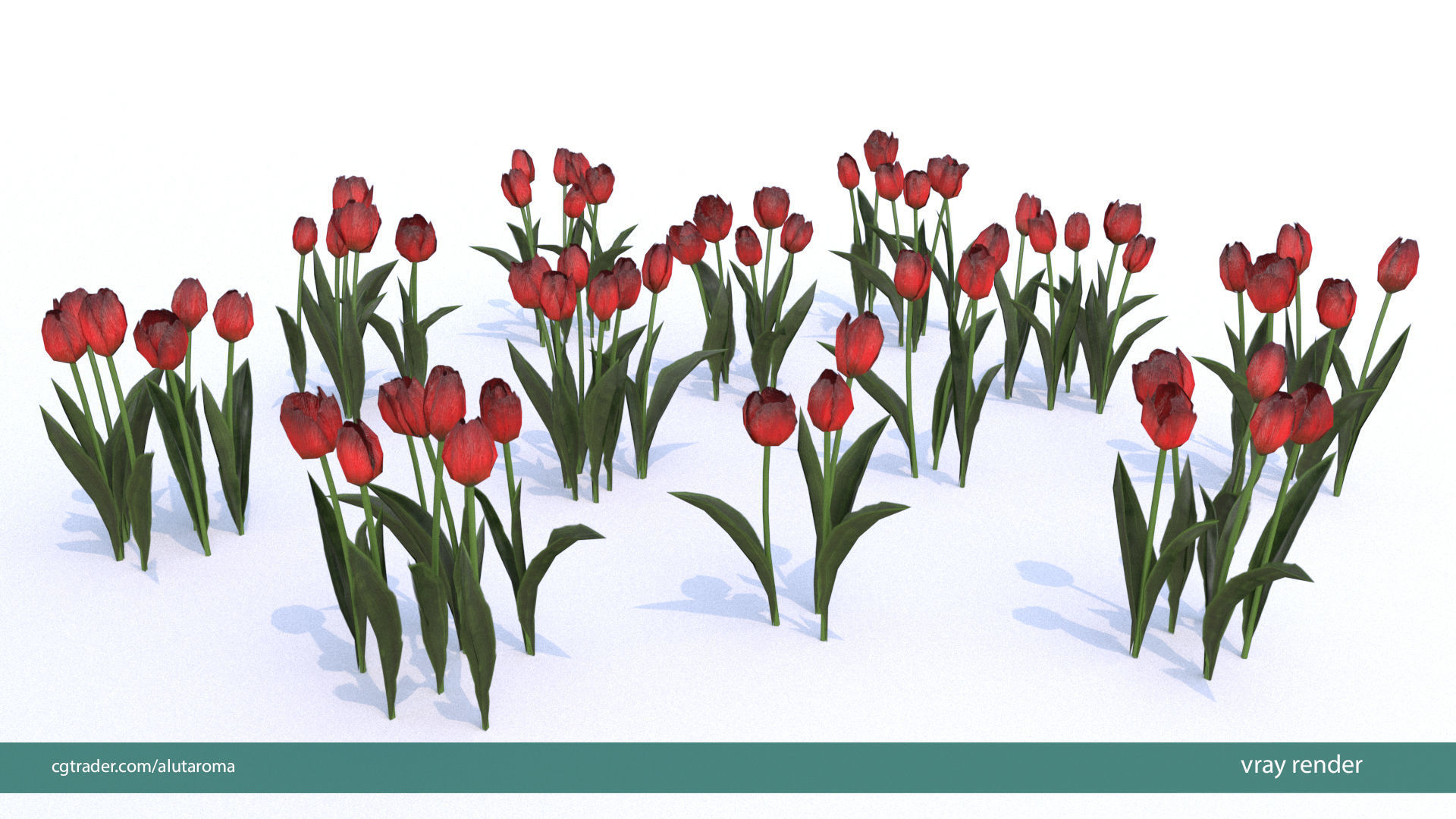 Tulips very LOW POLY detailed textures 63 variations Low-poly 3D model_22