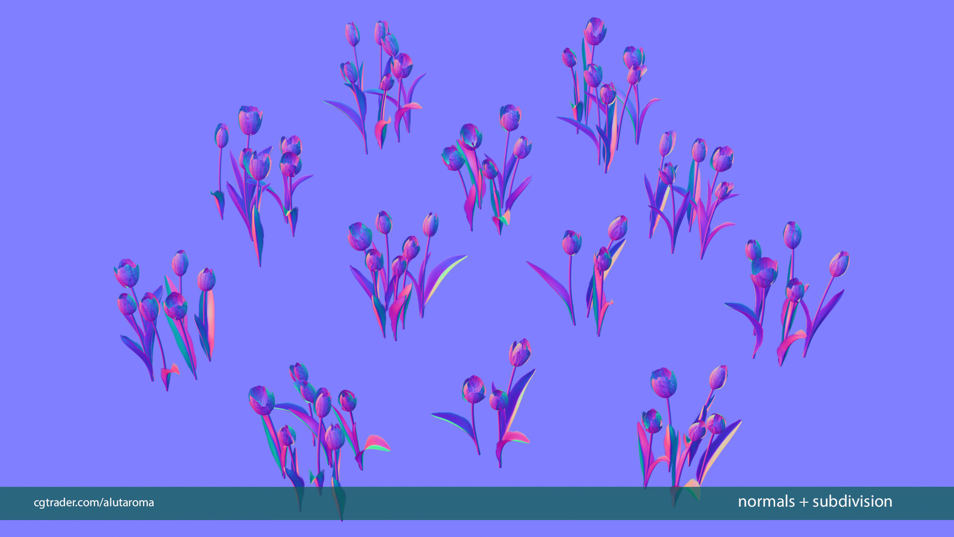 Tulips very LOW POLY detailed textures 63 variations Low-poly 3D model_18