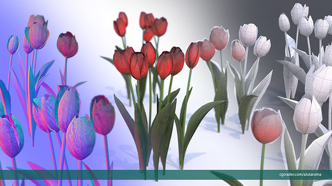 Tulips very LOW POLY detailed textures 63 variations Low-poly 3D model