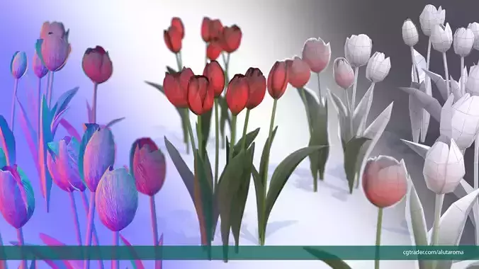 Tulips very LOW POLY detailed textures 63 variations Low-poly 3D model
