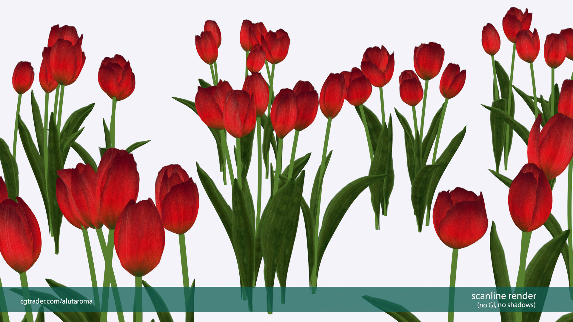 Tulips very LOW POLY detailed textures 63 variations Low-poly 3D model_5