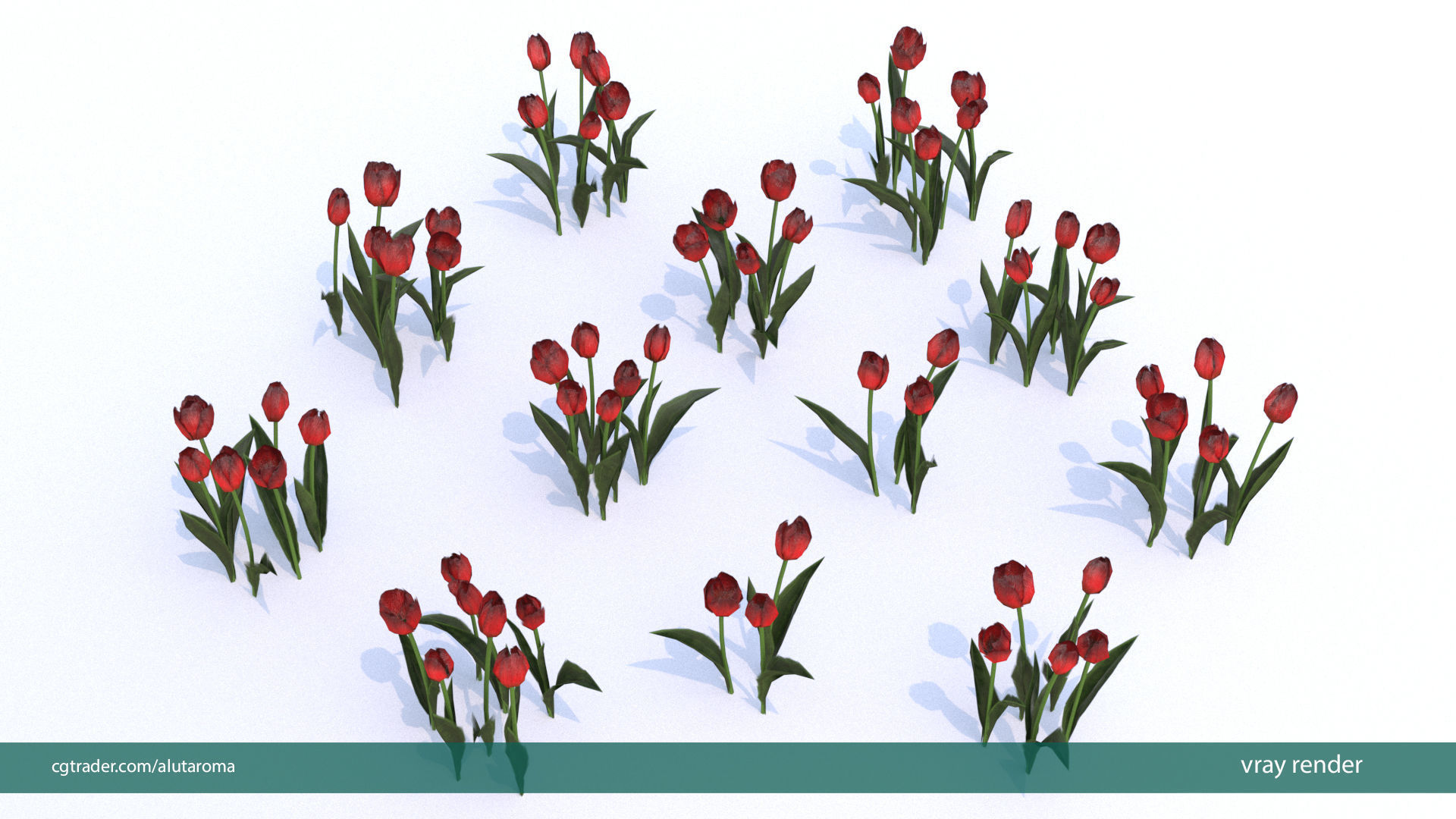 Tulips very LOW POLY detailed textures 63 variations Low-poly 3D model_17