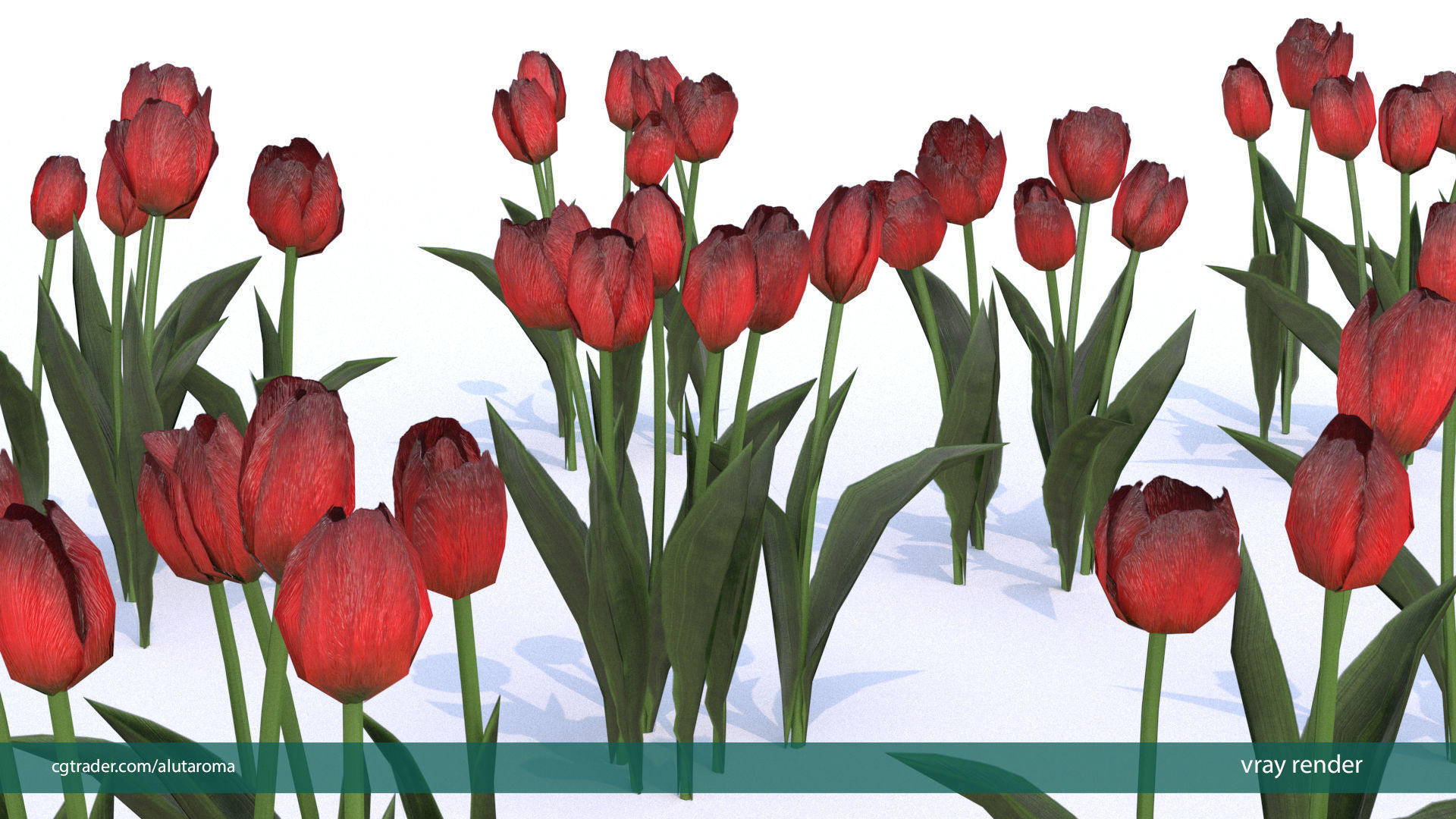 Tulips very LOW POLY detailed textures 63 variations Low-poly 3D model_6