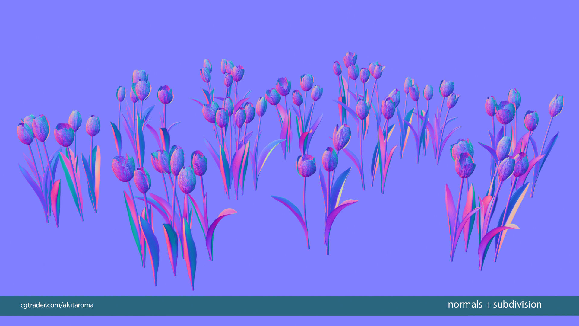 Tulips very LOW POLY detailed textures 63 variations Low-poly 3D model_23