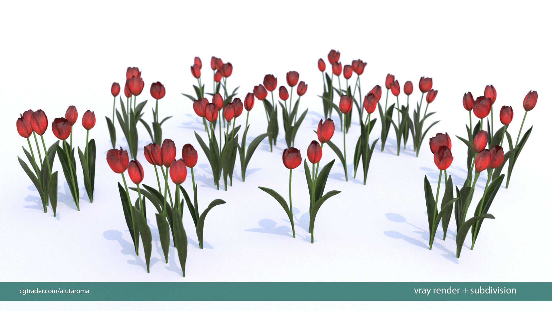 Tulips very LOW POLY detailed textures 63 variations Low-poly 3D model_19