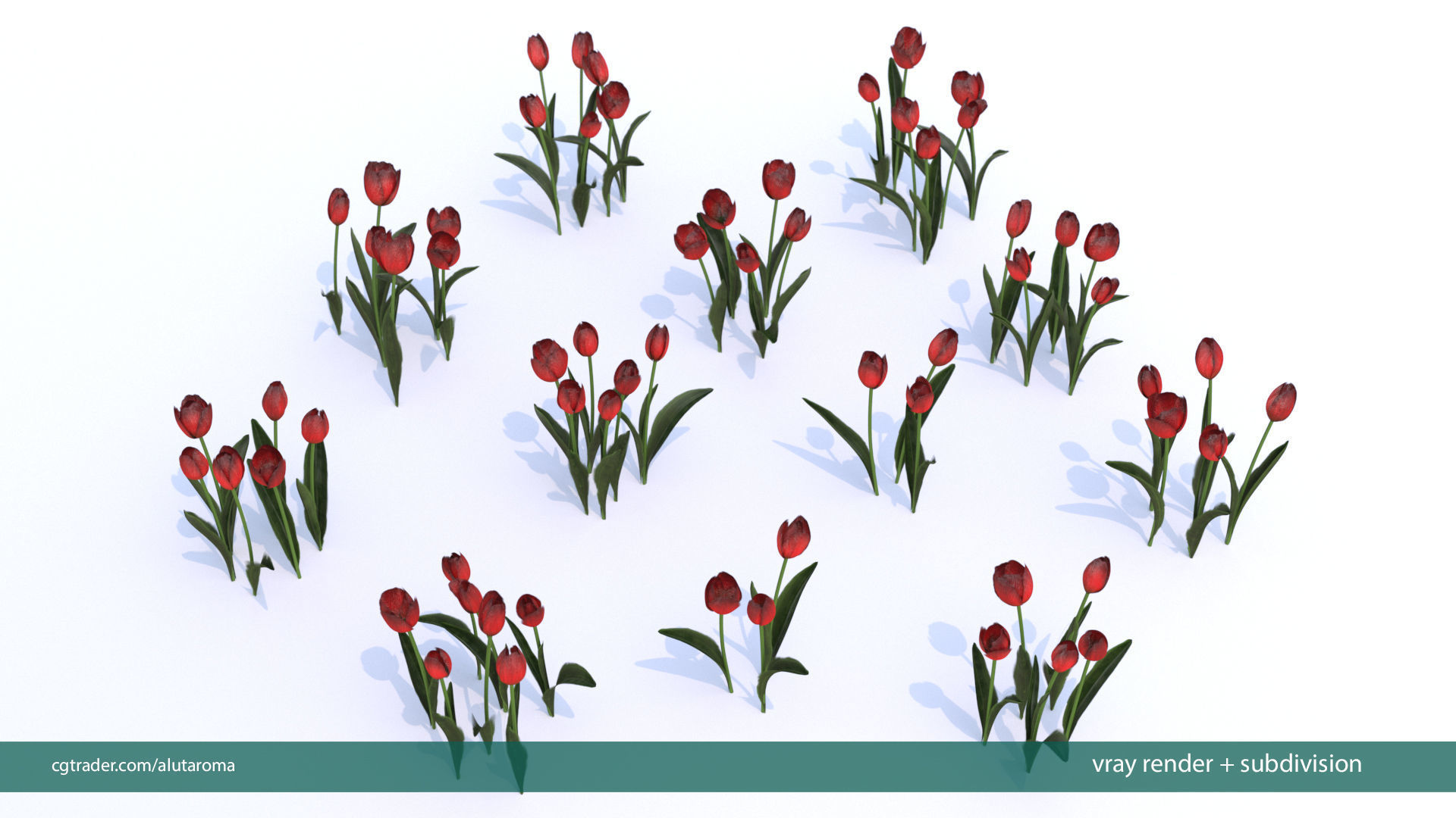 Tulips very LOW POLY detailed textures 63 variations Low-poly 3D model_14