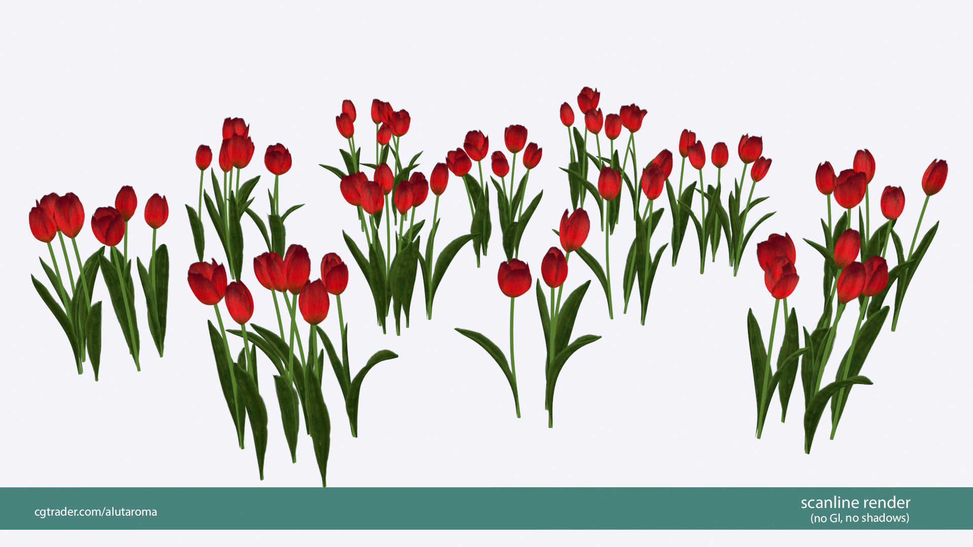 Tulips very LOW POLY detailed textures 63 variations Low-poly 3D model_21