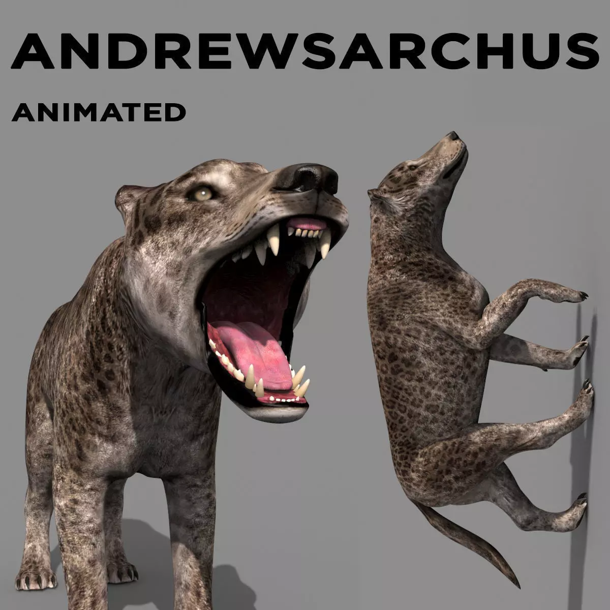 Andrewsarchus - 3d animated model 3D model