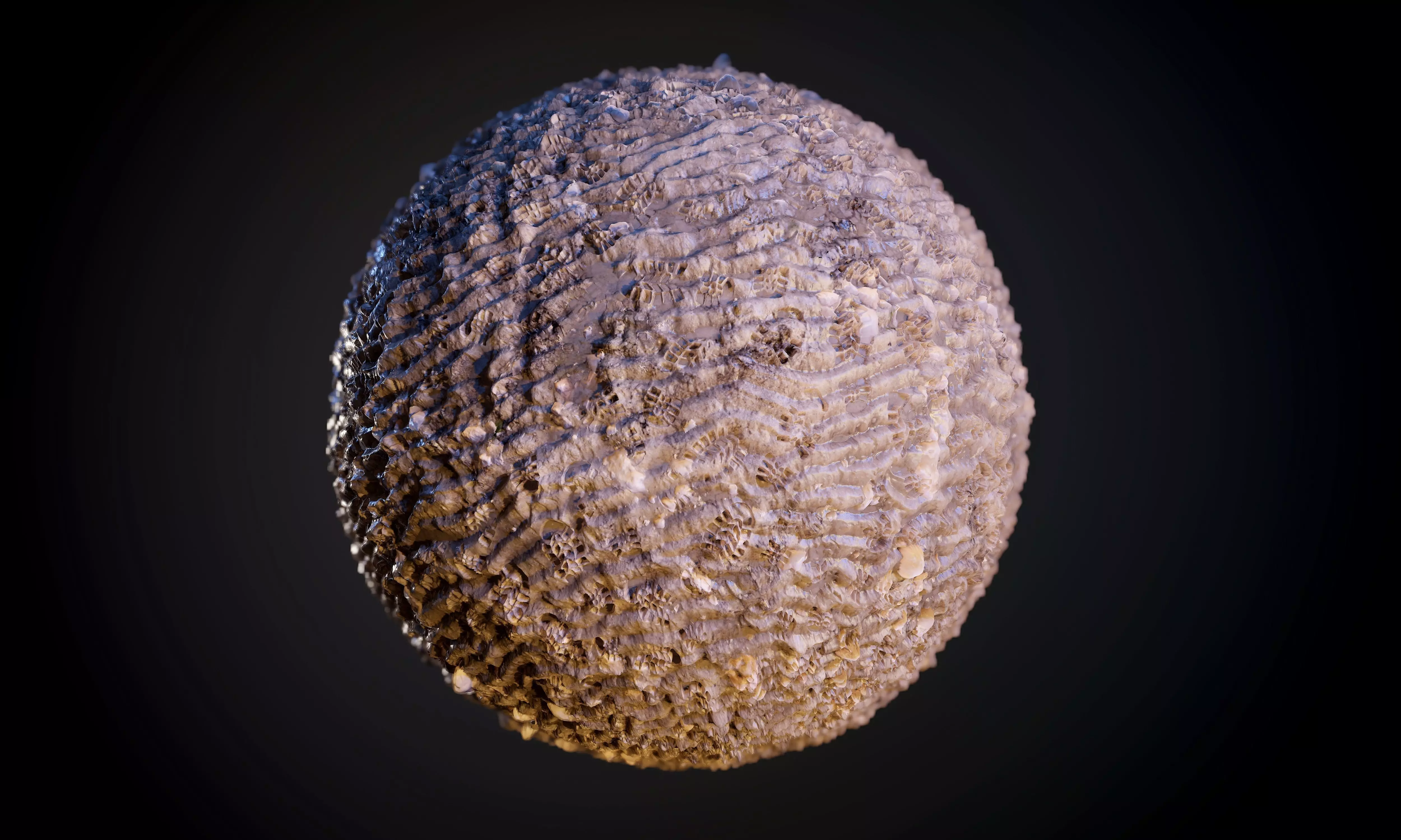 Sand Stones Dirt Seamless PBR Texture Texture_0