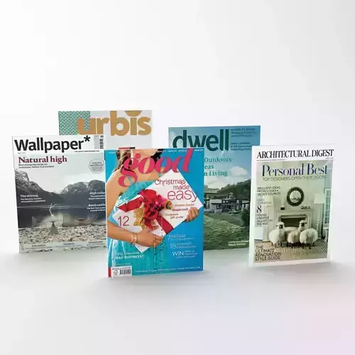 Collection of magazines 3D model