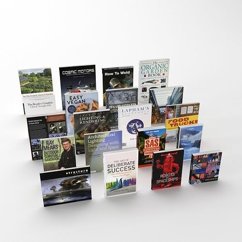 Collection of various paperback books 3D model