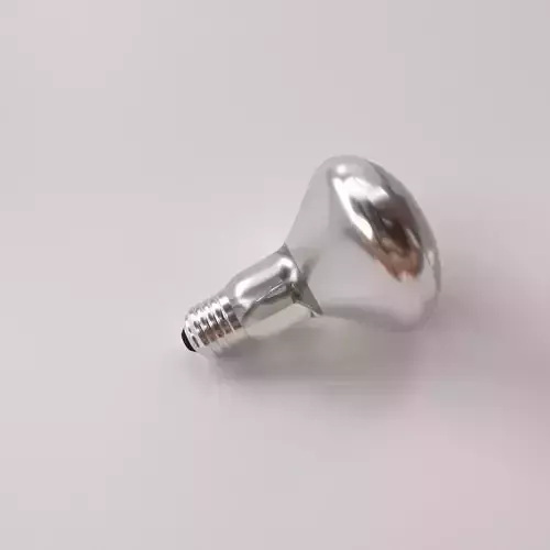 Reflector Light Bulb 3D model