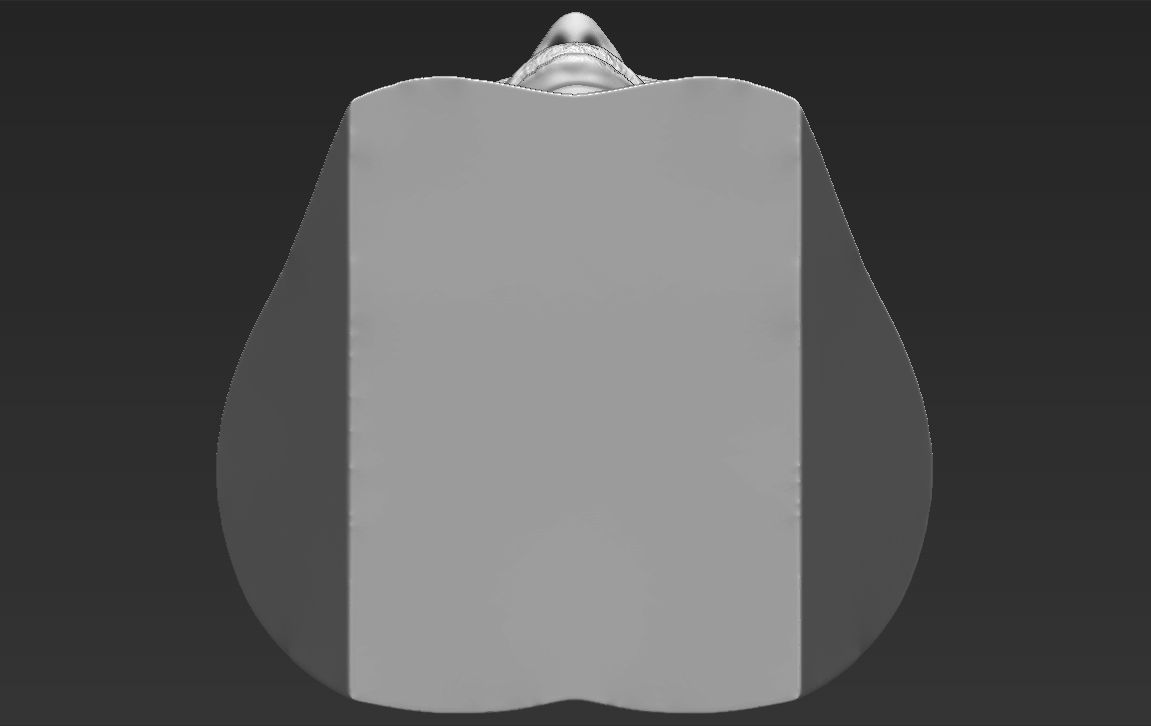 Nicki Minaj bust 3D printing ready stl obj formats 3D print model_20
