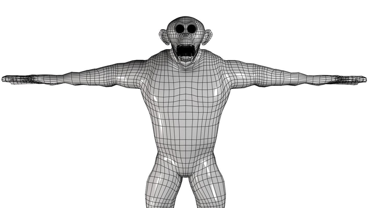 Albino Chimpanzee 3D model_6