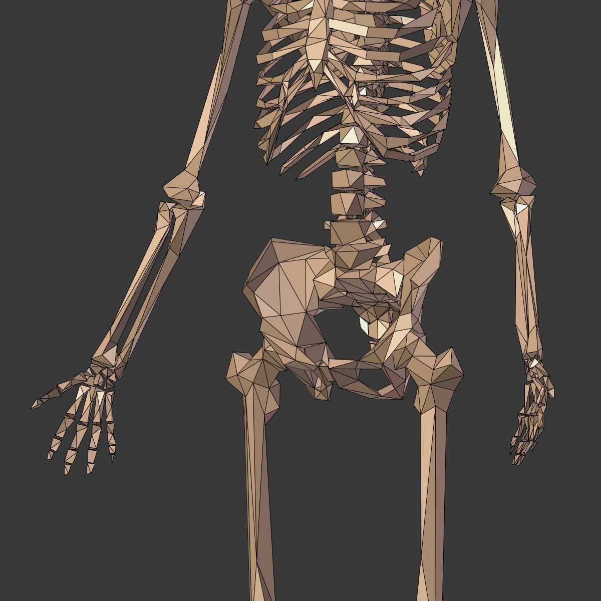 Cartoon Skeleton Low Poly Low-poly 3D model_17