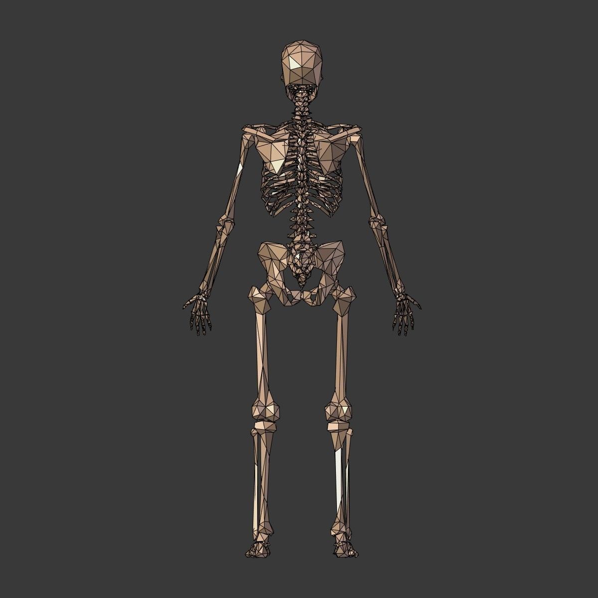 Cartoon Skeleton Low Poly Low-poly 3D model_13