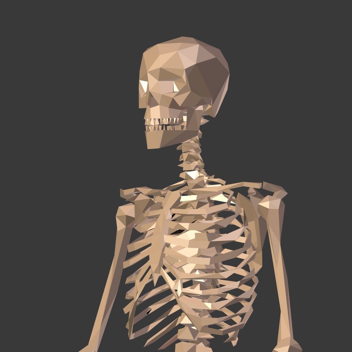 Cartoon Skeleton Low Poly Low-poly 3D model_14