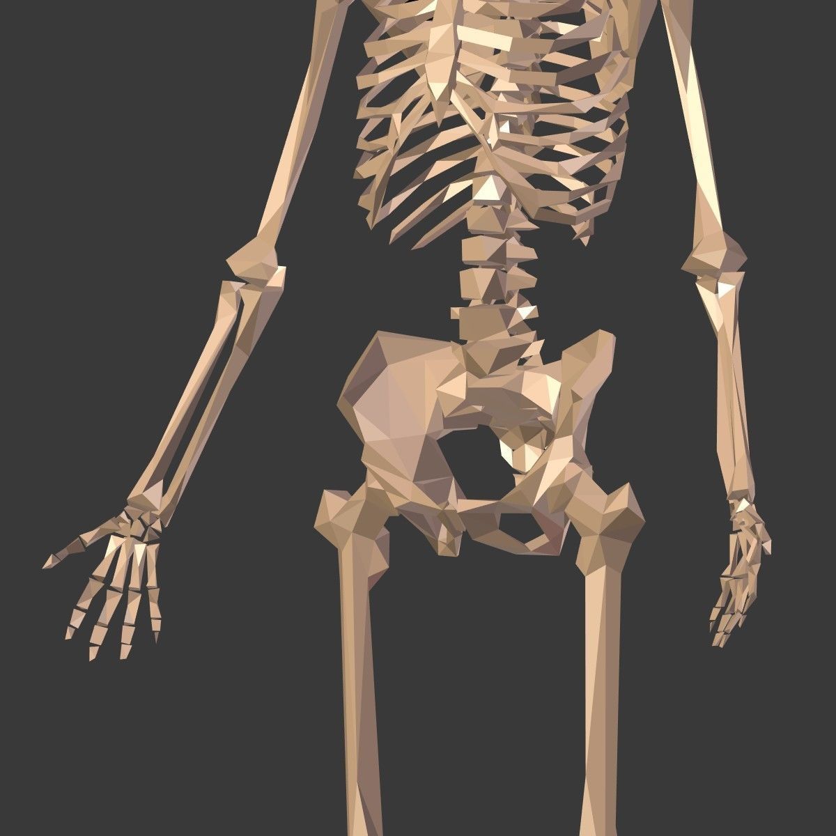 Cartoon Skeleton Low Poly Low-poly 3D model_16
