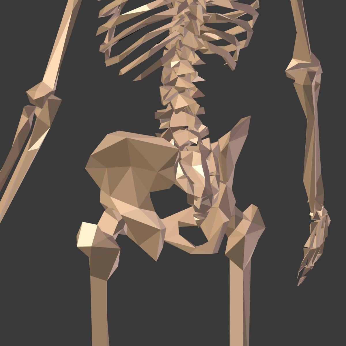 Cartoon Skeleton Low Poly Low-poly 3D model_22