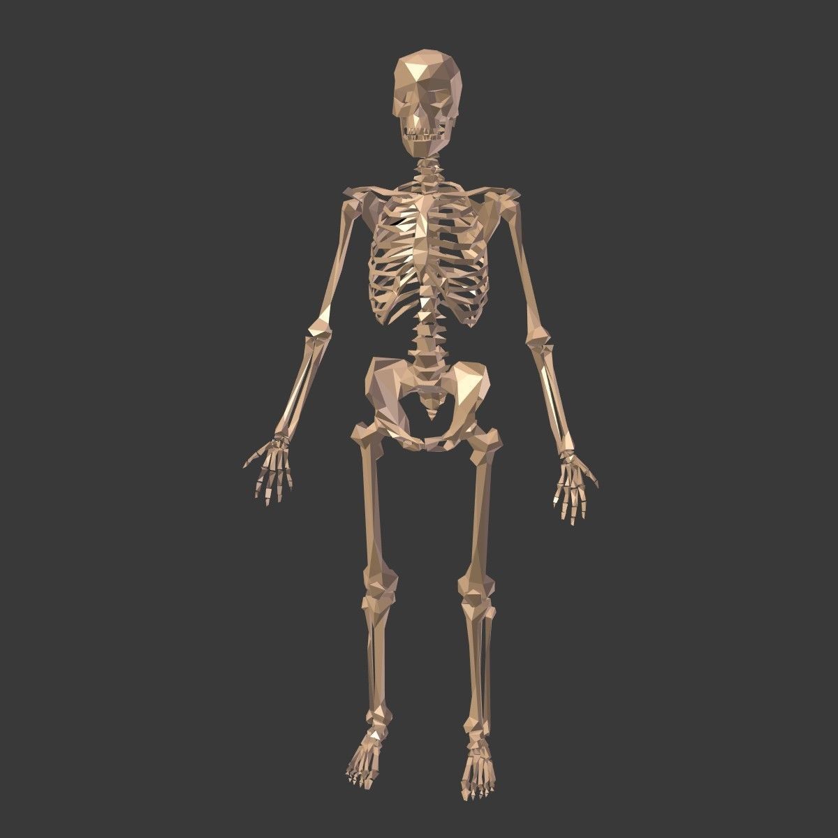 Cartoon Skeleton Low Poly Low-poly 3D model_2