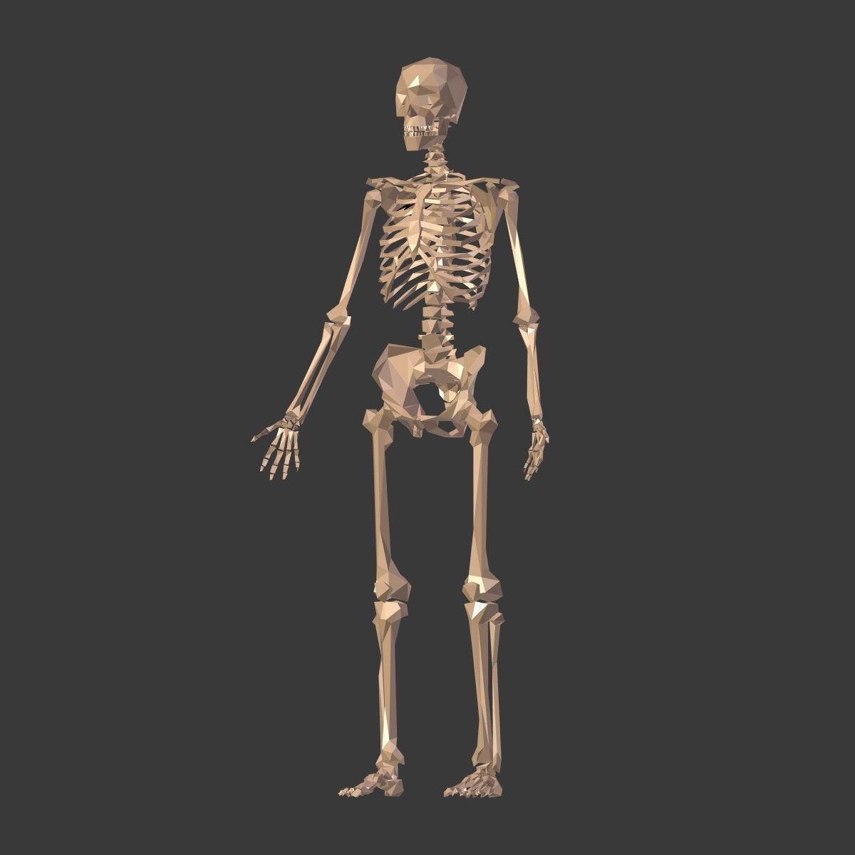 Cartoon Skeleton Low Poly Low-poly 3D model_6