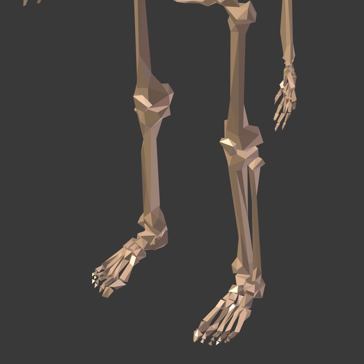 Cartoon Skeleton Low Poly Low-poly 3D model_18